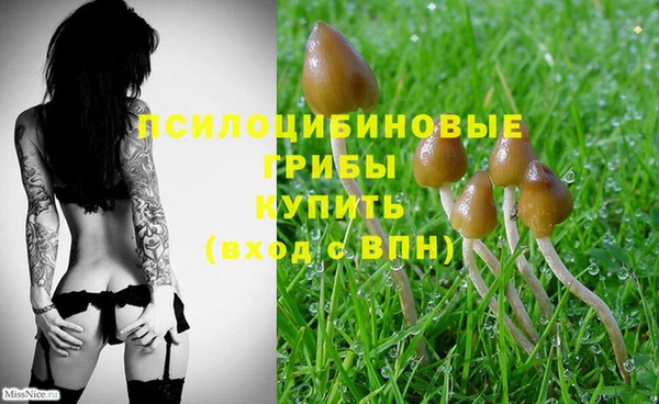 mix Мегион