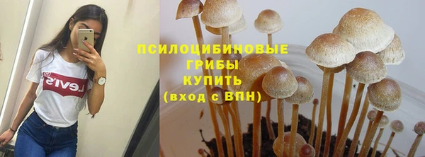 эйфоретик Медвежьегорск