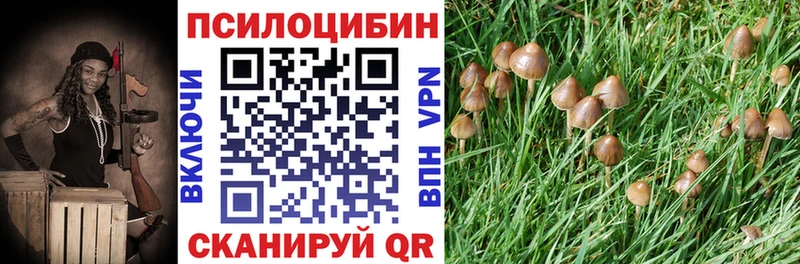 Псилоцибиновые грибы мицелий Купить где Новомичуринск