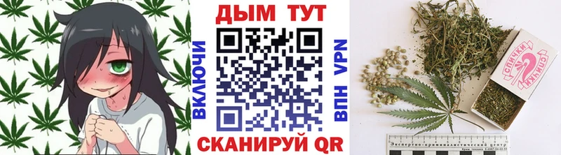Купить  Новомичуринск  Каннабис конопля 